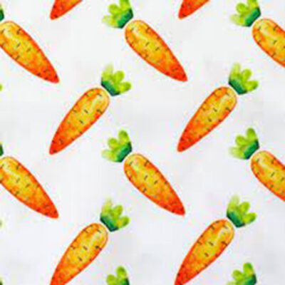 Stoffe Nähen Zauberladen Hietzing Karotte Carrot Möhre